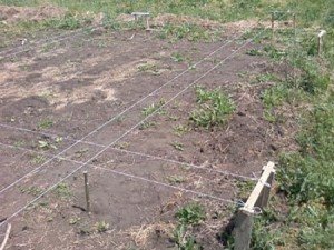 Деревяні дачні будинки з бруса: підбір матеріалу, проектування і будівництво