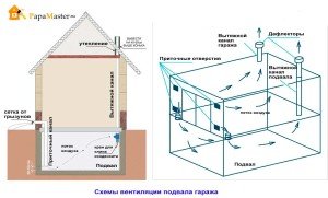 Засіб від цвілі на дереві: короткий огляд різних способів боротьби. Синтетичні протигрибкові препарати
