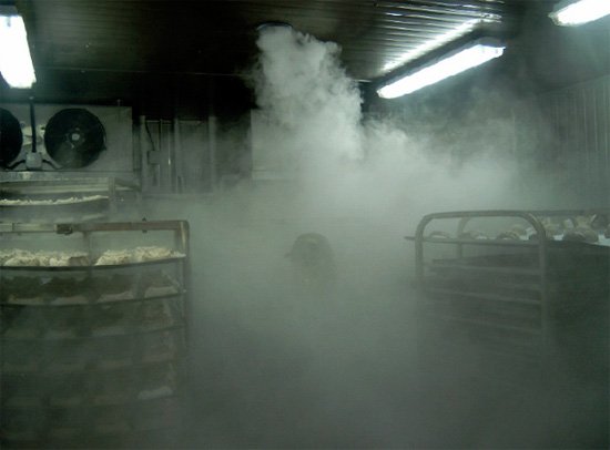 Холодний туман від клопів і відгуки про ефективність цього методу знищення паразитів