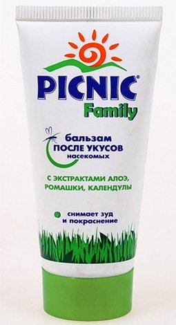 Якщо свербить укус оси   знімаємо свербіж правильно