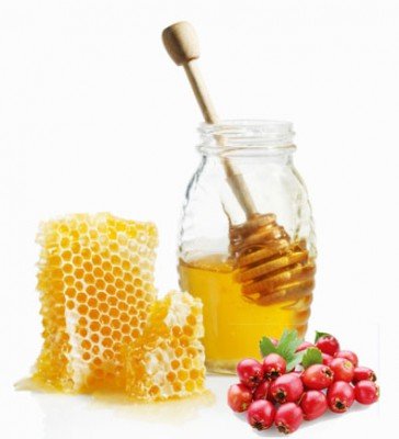 Глодовий мед: корисні властивості