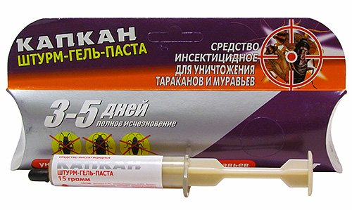Звідки беруться домашні мурахи і чи варто їх боятися