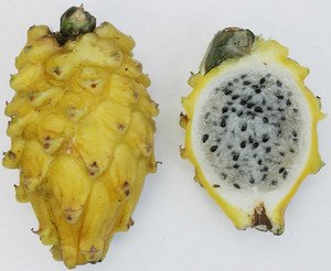 Докладний опис і корисні властивості фрукта з Тайланду Око Дракона