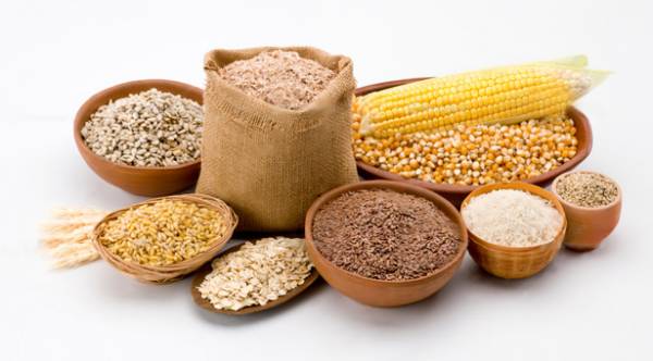 Чим і як правильно годувати собаку. Основи здорового харчування