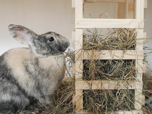 Сінник для кроликів своїми руками: фото та відео