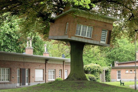 Правила самостійного будівництва будиночка на дереві