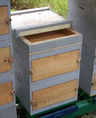 Креслення вуликів для бджіл: різновиди, особливості 62f3778e0c6c7b45a8401fadfdbcc555