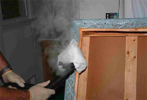 Як убити постільних клопів і їх яйця