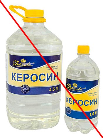 Боротьба з комахами в квартирі: огляд сучасних методів і засобів
