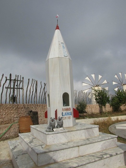 Собаки космонавти: чотирилапі герої ХХ століття