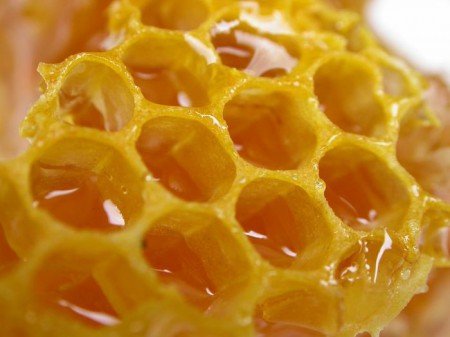 Що таке бджолиний забрус та його застосування