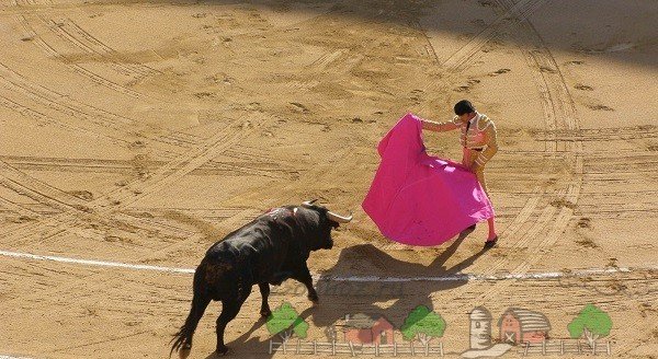 Корида   бій биків в Іспанії: огляд і відео