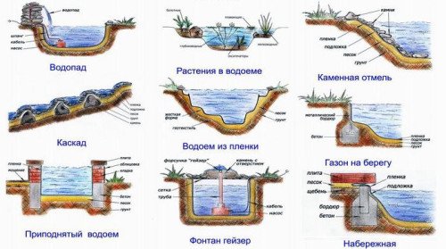 Водні рослини: особливості вибору для садового водоймища