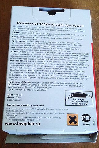 Блохи у кота: що робити?