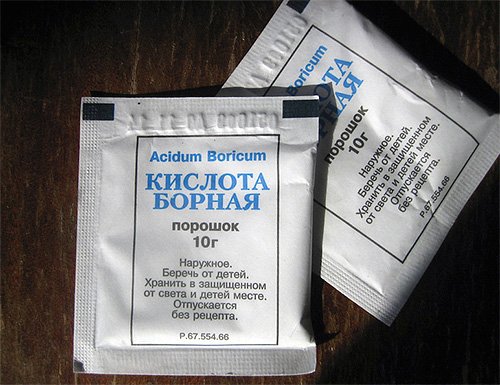 Борна кислота від тарганів і як нею труїти