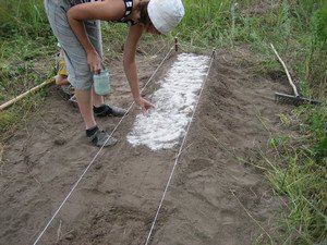 Як зробити вузькі грядки з Митлайдеру своїми руками (фото і відео інструкція)?