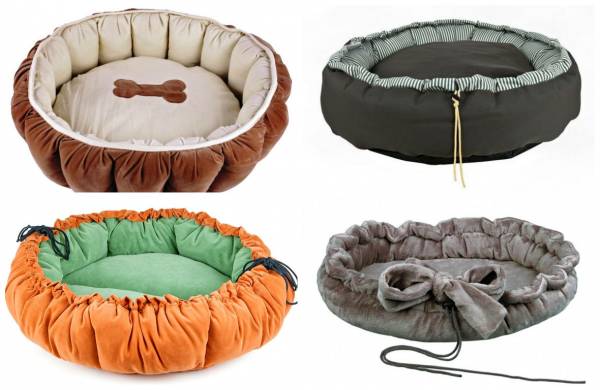 Місце для собаки в квартирі: як облаштувати і привчити до нього вихованця