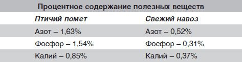 Застосування голубиного посліду як добриво для картоплі, полуниці та інших рослин