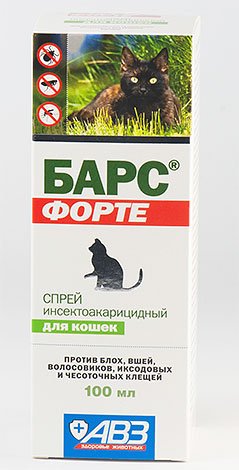 Блохи у кота: що робити?