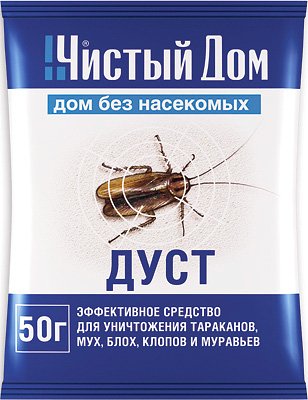 Людська блоха: бувають блохи у людей і як з ними боротися