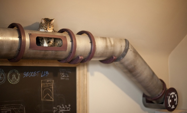 Ідеї для котячих будиночків   Оригінальні ідеї котячого будинку