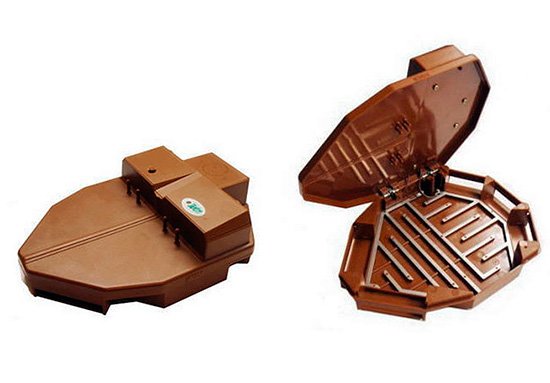 Як і чим морити тарганів Як і чим морити тарганів