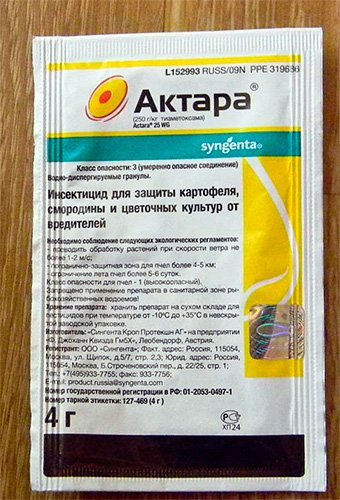 Земляні оси: як позбутися від цих комах безпечно для свого здоровя