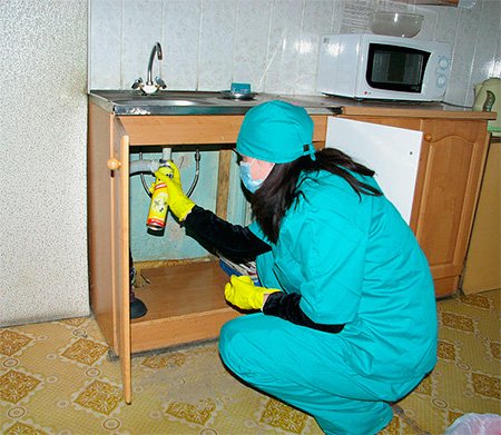 Як позбутися від тарганів у квартирі назавжди: ефективні методи