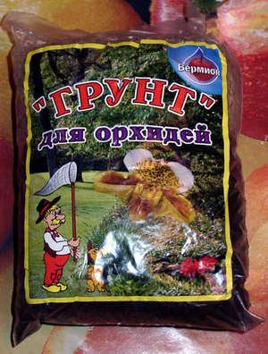 Догляд в домашніх умовах за мильтонией   екзотичною квіткою (фото і відео)