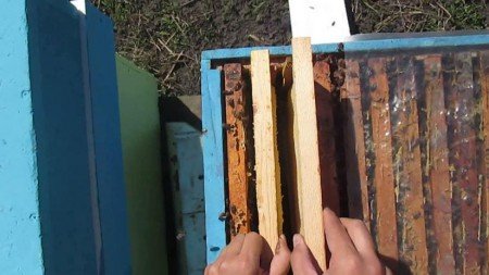 Суші для бджіл з рамками: поради