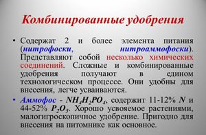 Позакореневе та кореневе підживлення розсади томатів у теплиці до і після висадки