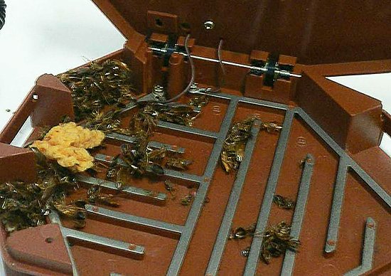 Електричні знищувачі комах та відгуки про їх застосування