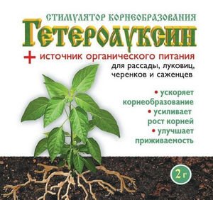 Як правильно посадити троянду з букета у воді і картоплі?