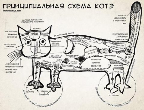 Прояв котячих почуттів або чому кішки топчуться