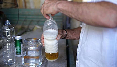 Пастка для шершнів і ос