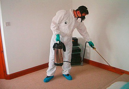 Боротьба з тарганами в квартирі: від народних засобів до сучасних ефективних способів виведення Боротьба з тарганами в квартирі: від народних засобів до сучасних ефективних способів виведення