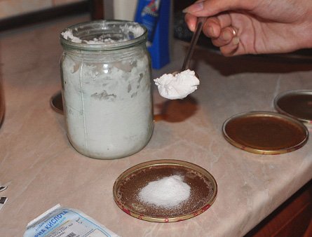 Руді або червоні мурахи в квартирі: що робити з ними і які причини їх появи