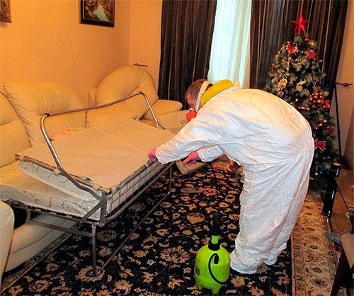 Знищення комах в квартирі: що важливо знати про цю процедуру