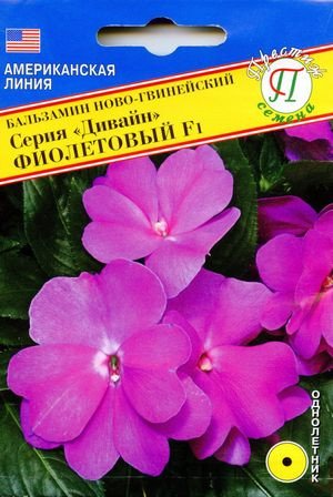 Вирощування і розмноження бальзаміну новогвинейского з насіння