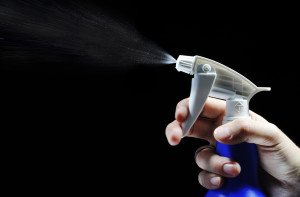 Як позбутися від клопів в квартирі самостійно: як визначити чи є в квартирі, звідки беруться, як правильно труїти, способи знищення