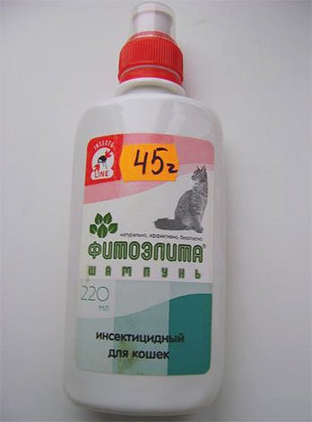 Блохи у кота: що робити?