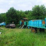Пасіка на колесах: особливості та організація кочового бджільництва