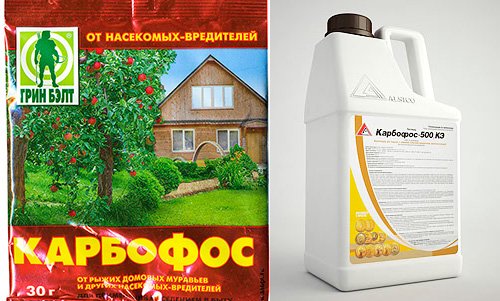 Де купити Карбофос від клопів і скільки він коштує?