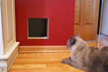 Двері для кішки своїми руками Двері для кішки своїми руками