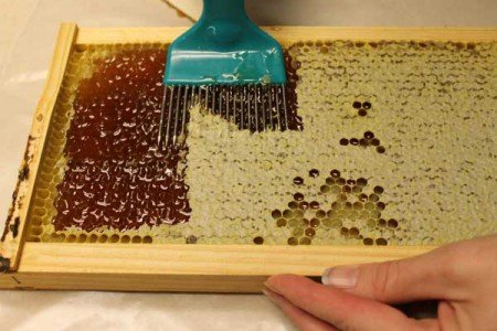 Бджолиний забрус: що це таке і чим він корисний