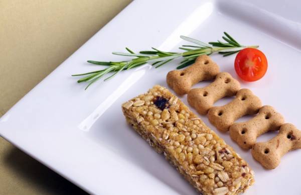 Як правильно годувати цуценя. Основи здорового харчування