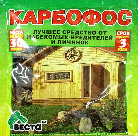 Кошти від ос і шершнів: як і чим можна ефективно вбити цих комах