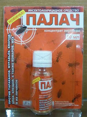 Засоби від тарганів у квартирі   як вибрати і де купити саме ефективне, безпечне і сучасне?