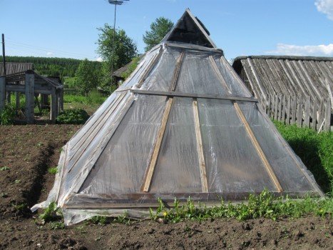 Як своїми руками зробити теплицю піраміду? Як своїми руками зробити теплицю піраміду?