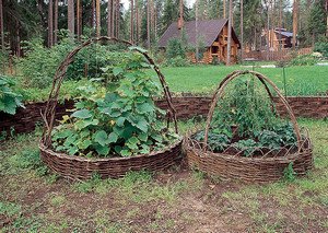 Як спорудити високі грядки своїми руками (фото і відео інструкція)?